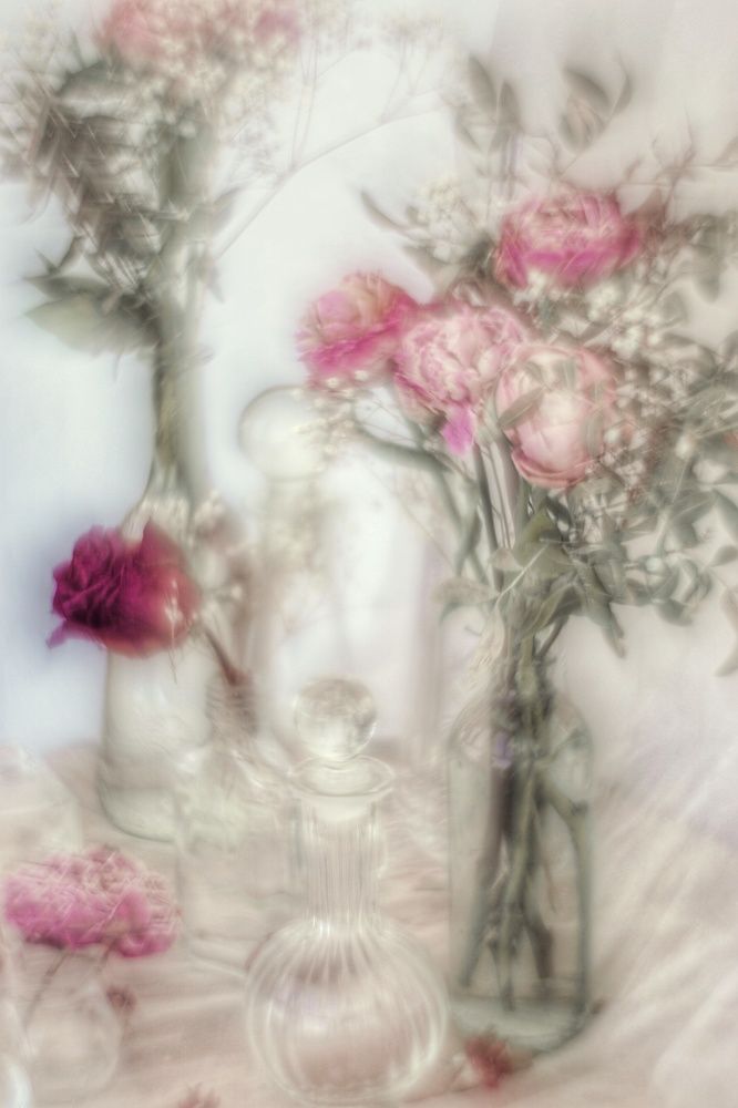 Photograph by Елена Пасажицкая