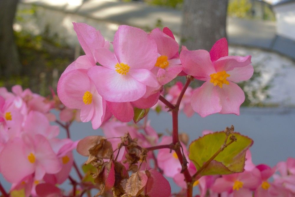 Photograph by Людмила Ваганова