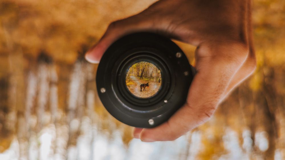 Photograph by Андрей Летов