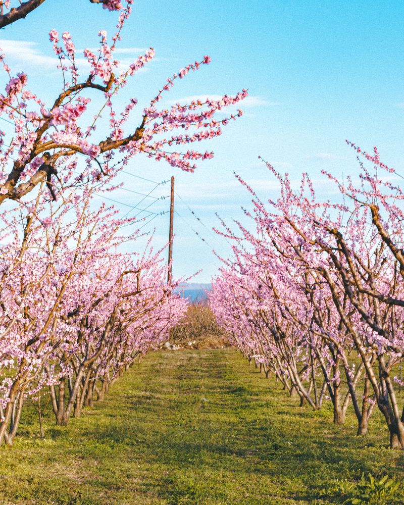 Фотография автора Vasilhs kolios