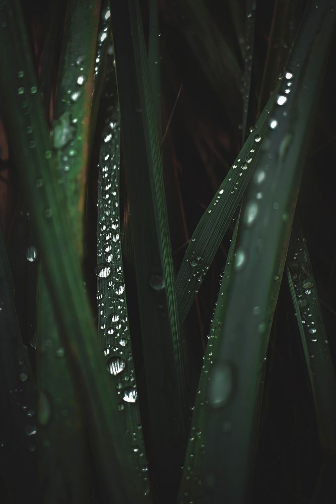 Photograph by Татьяна Бравая