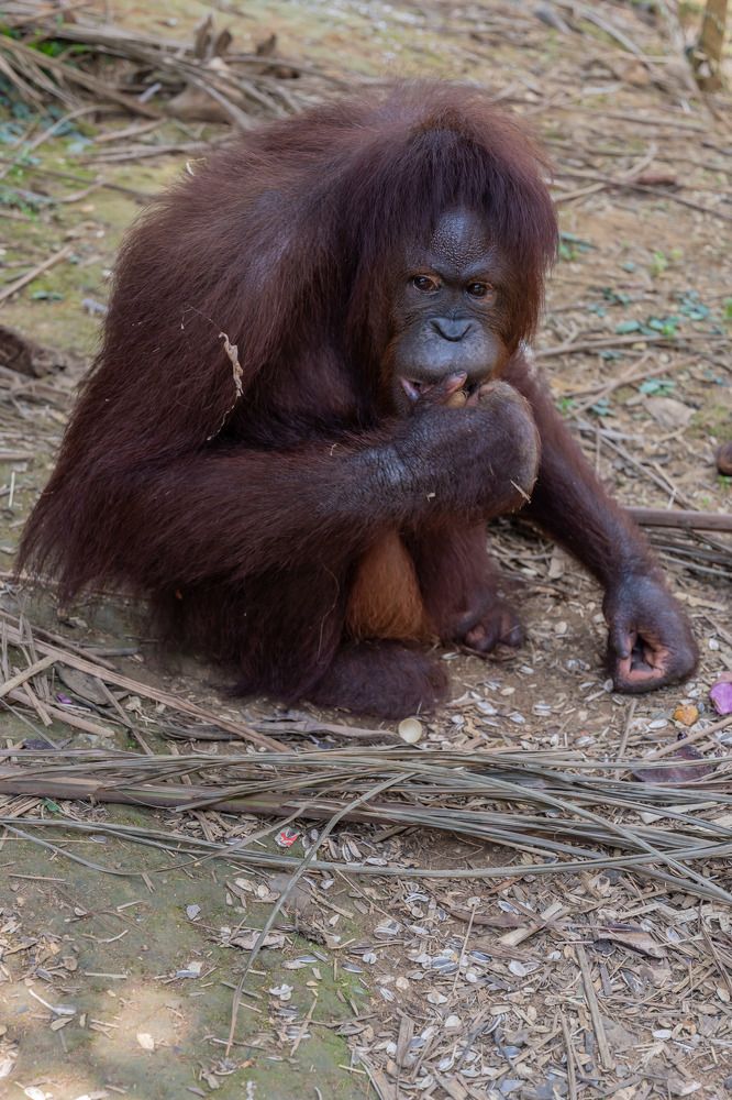 Photograph by Татьяна