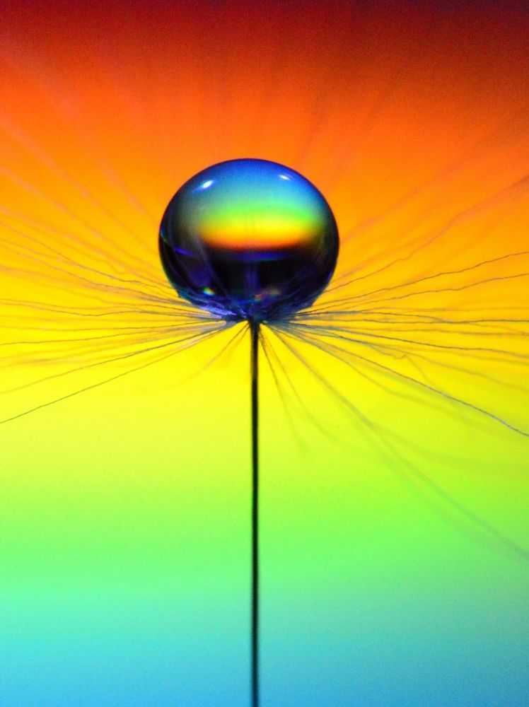 Photograph by Александр Никонофф