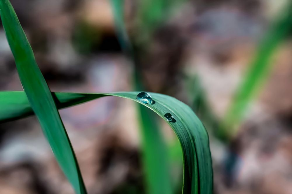 Photograph by Ирина Шибитова