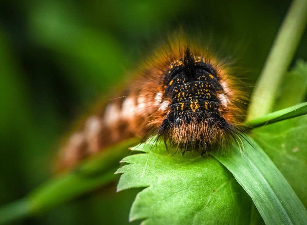 Photograph by Елена Быкова