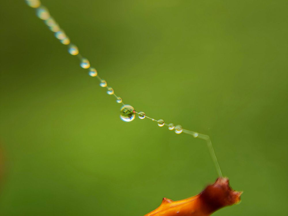 Photograph by Ирина Шибитова