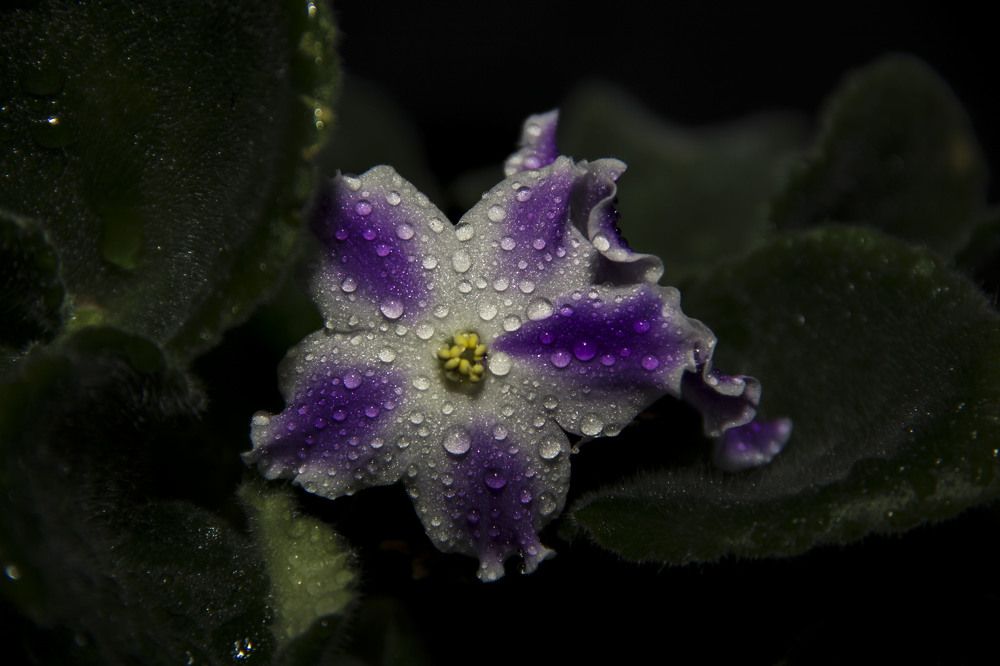 Photograph by Громова Мария