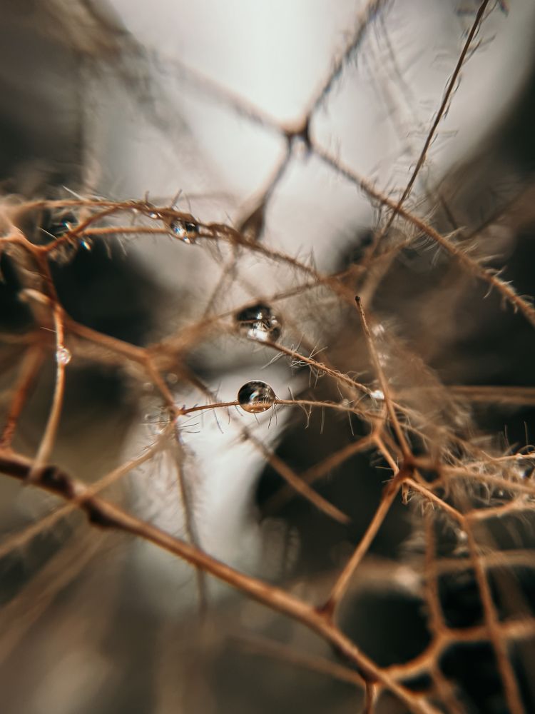 Photograph by Анна Голубцова