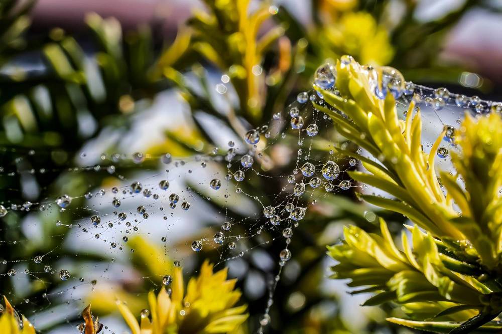 Photograph by Ирина Шибитова