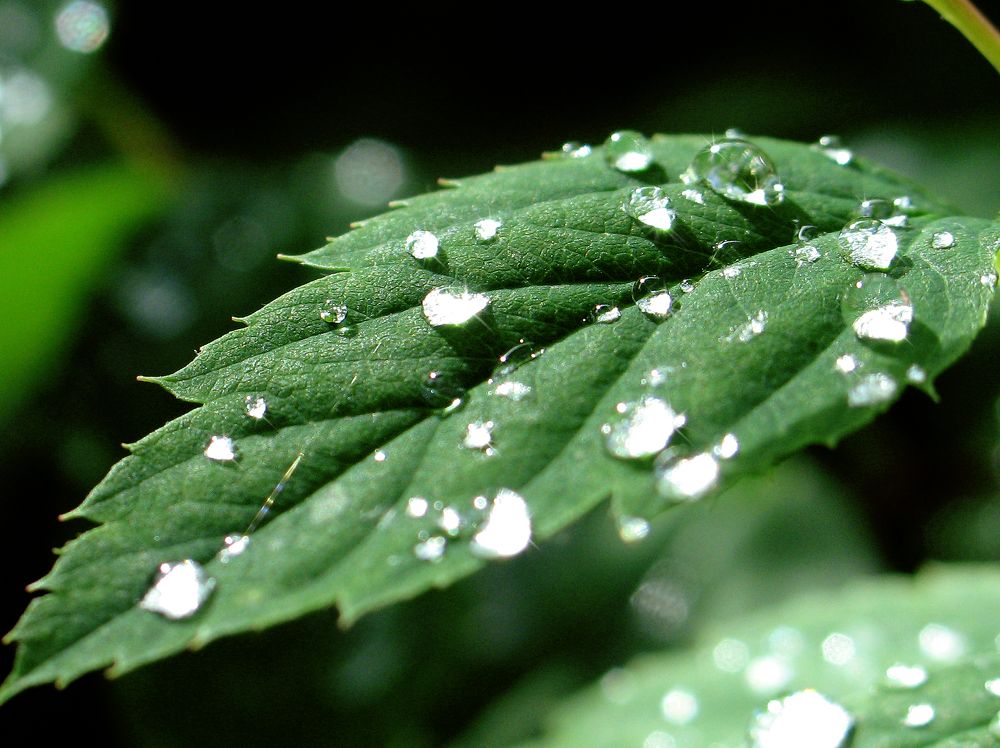 Photograph by Pavel Gukov