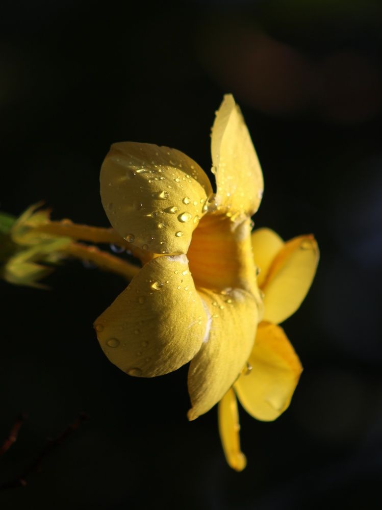 Photograph by Светлана Булыгина