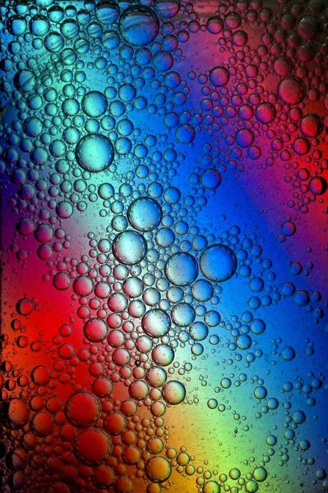 Фотография автора Washiful Majid