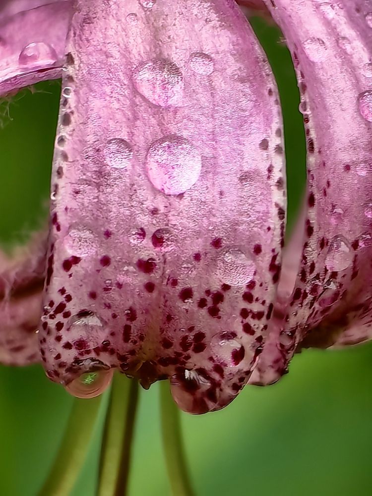 Photograph by 