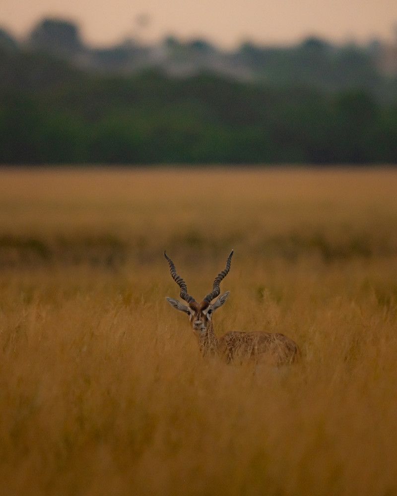 Photograph by Prakhar Mishra