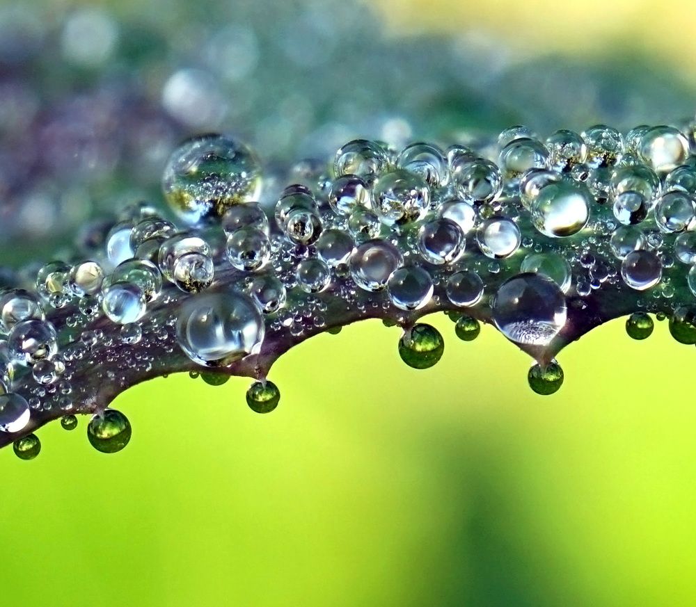 Photograph by Наталья Соколова