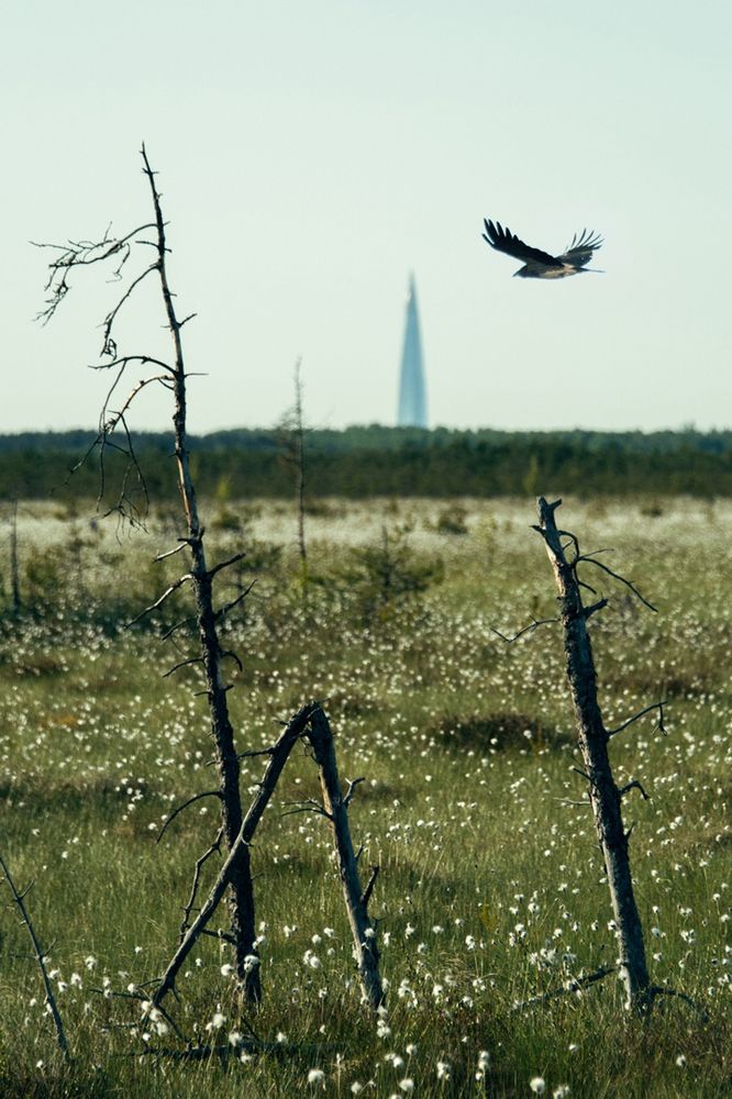Photograph by Любовь Черник