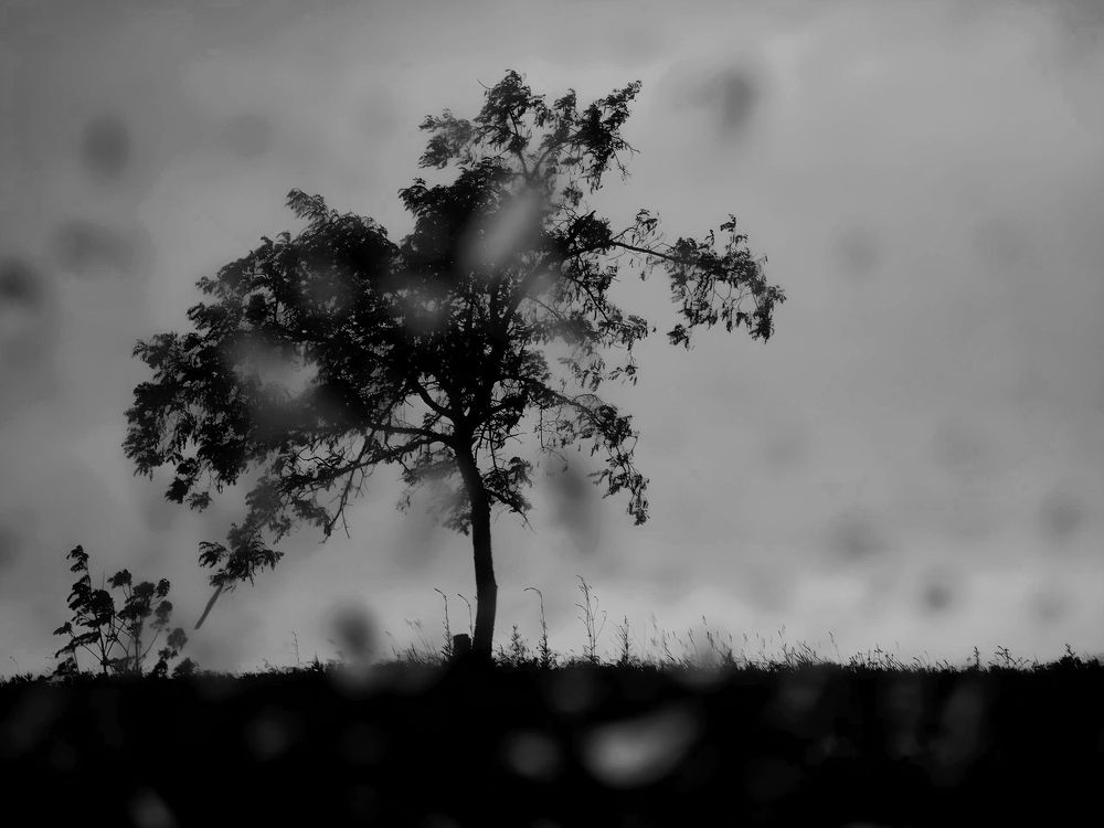 Одиночество