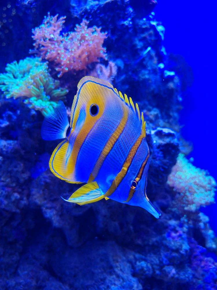 Photograph by Ирина Подлубная