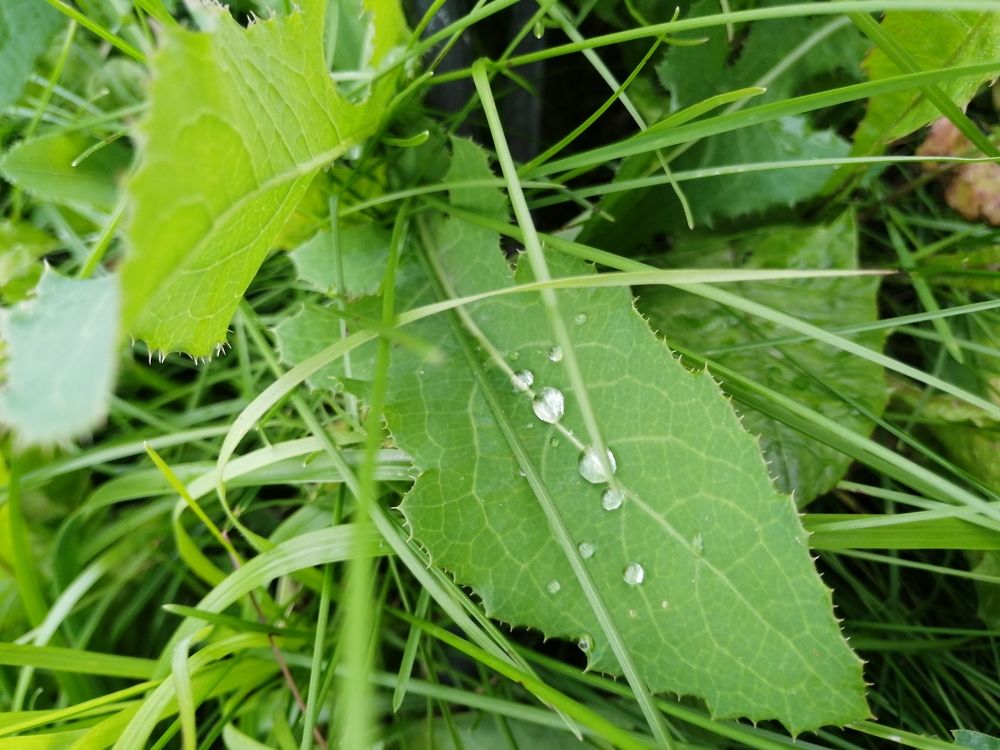 Photograph by Наталия