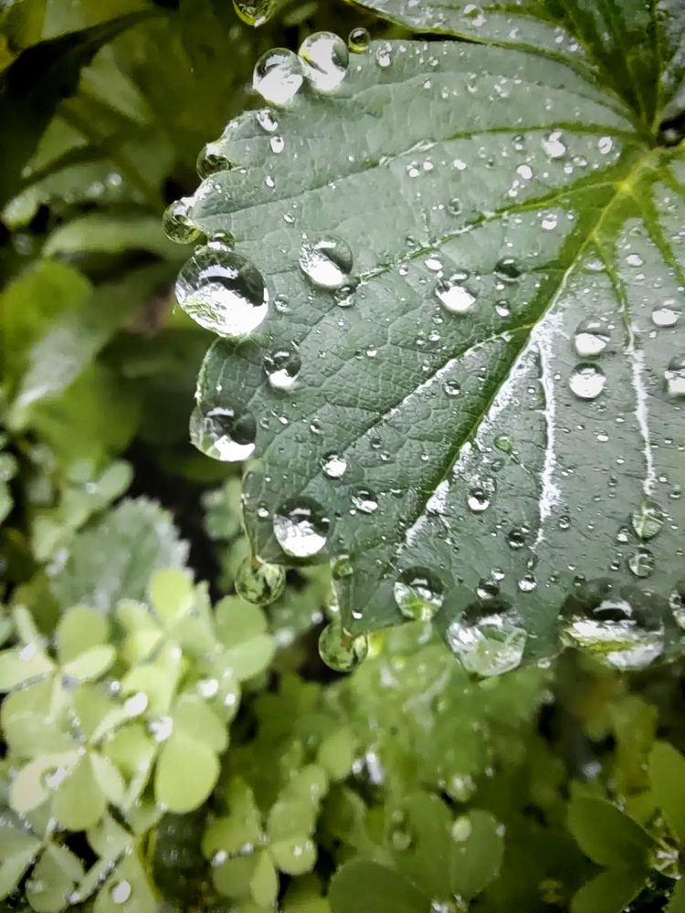 Photograph by Куделенко Оксана