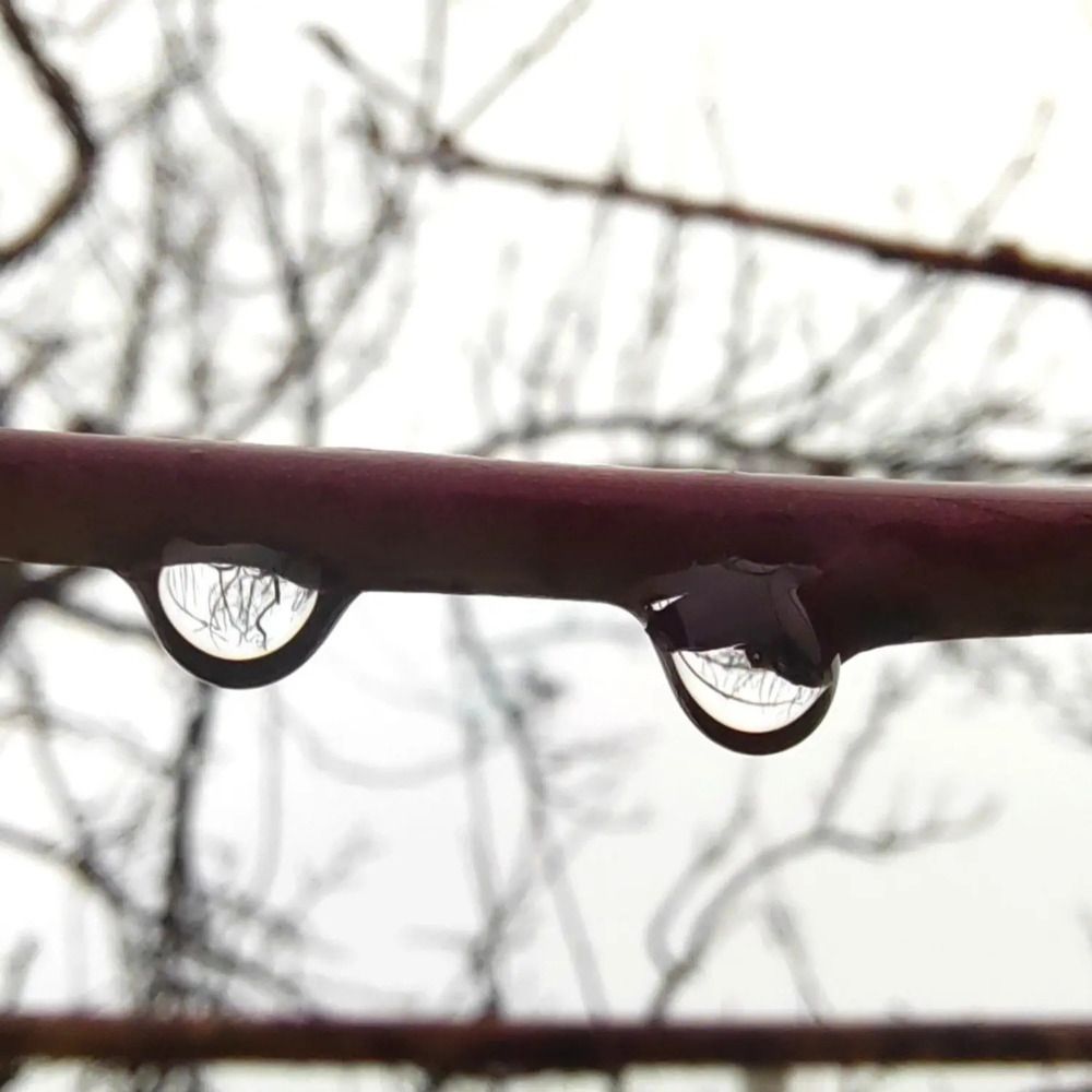 Photograph by Куделенко Оксана