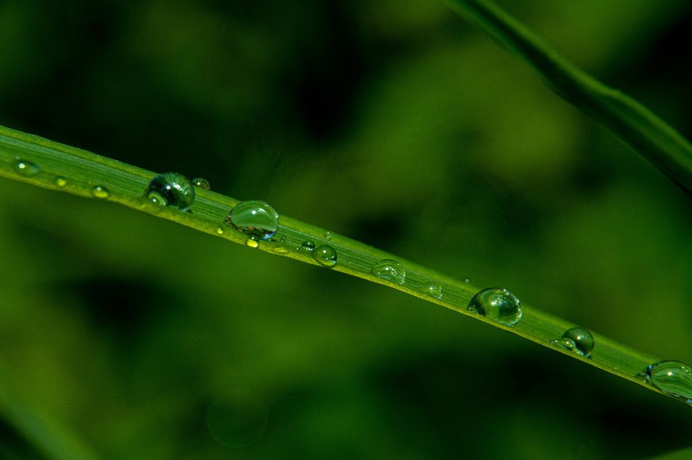 Photograph by Людмила Баймухаметова