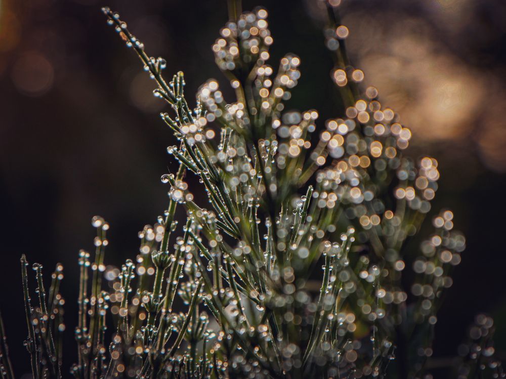 Photograph by Ekaterina Slepneva