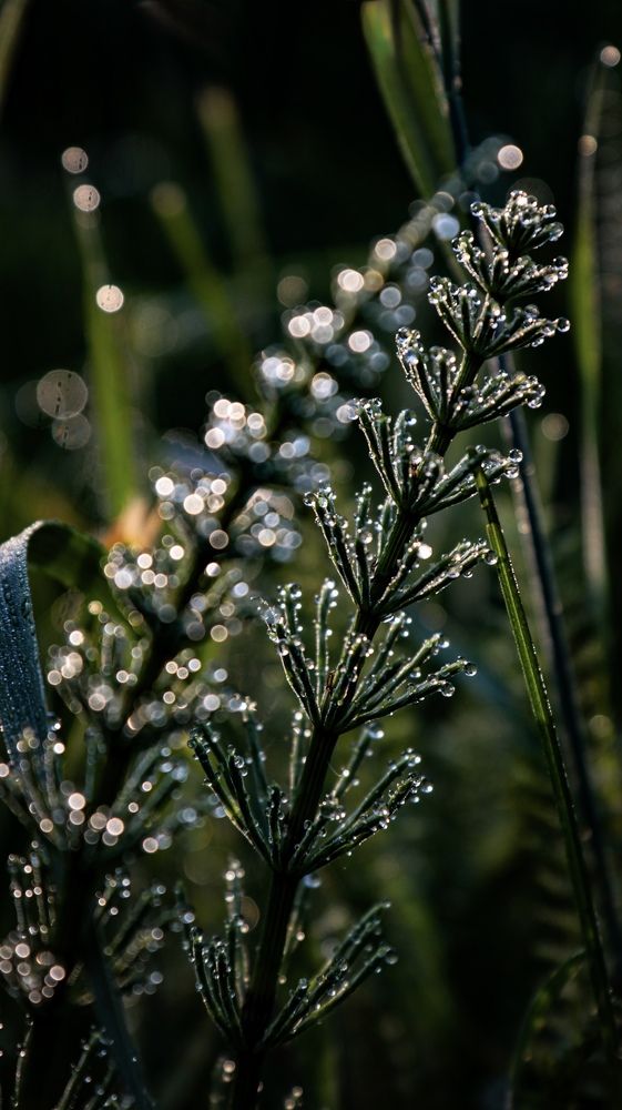 Photograph by Ekaterina Slepneva