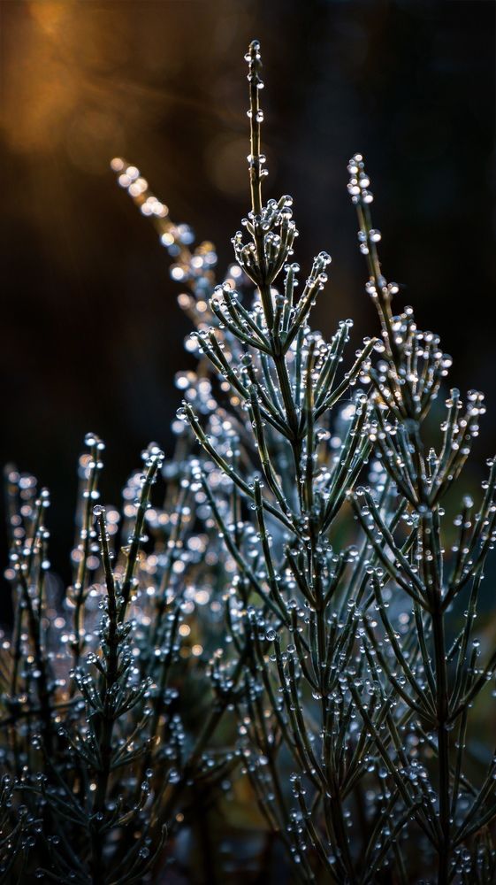 Photograph by Ekaterina Slepneva