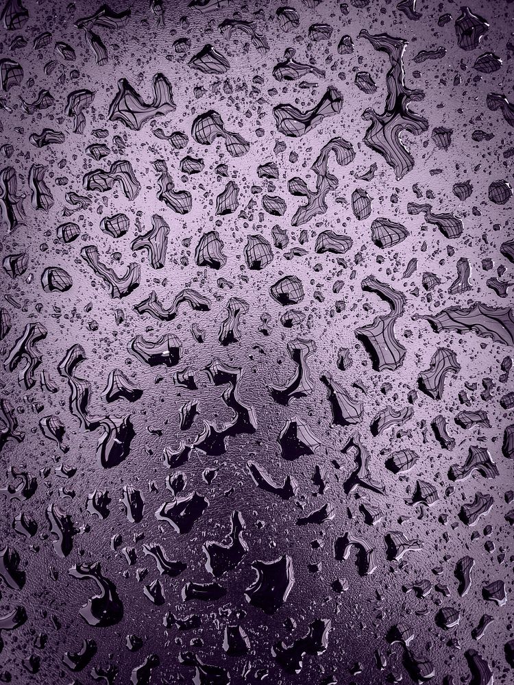 Photograph by Ekaterina Slepneva