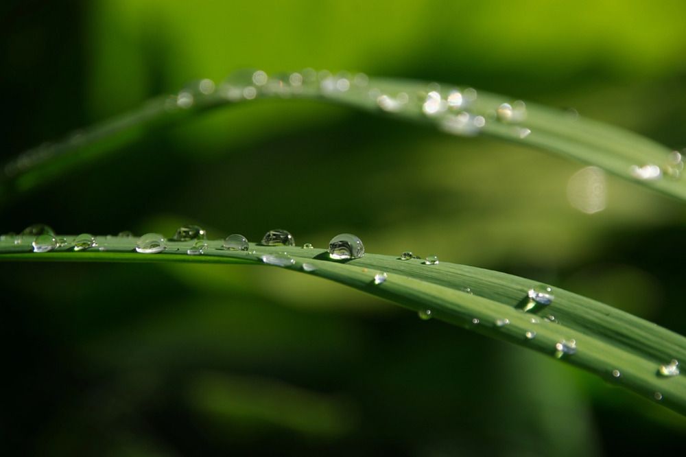 Photograph by Елена Ласун