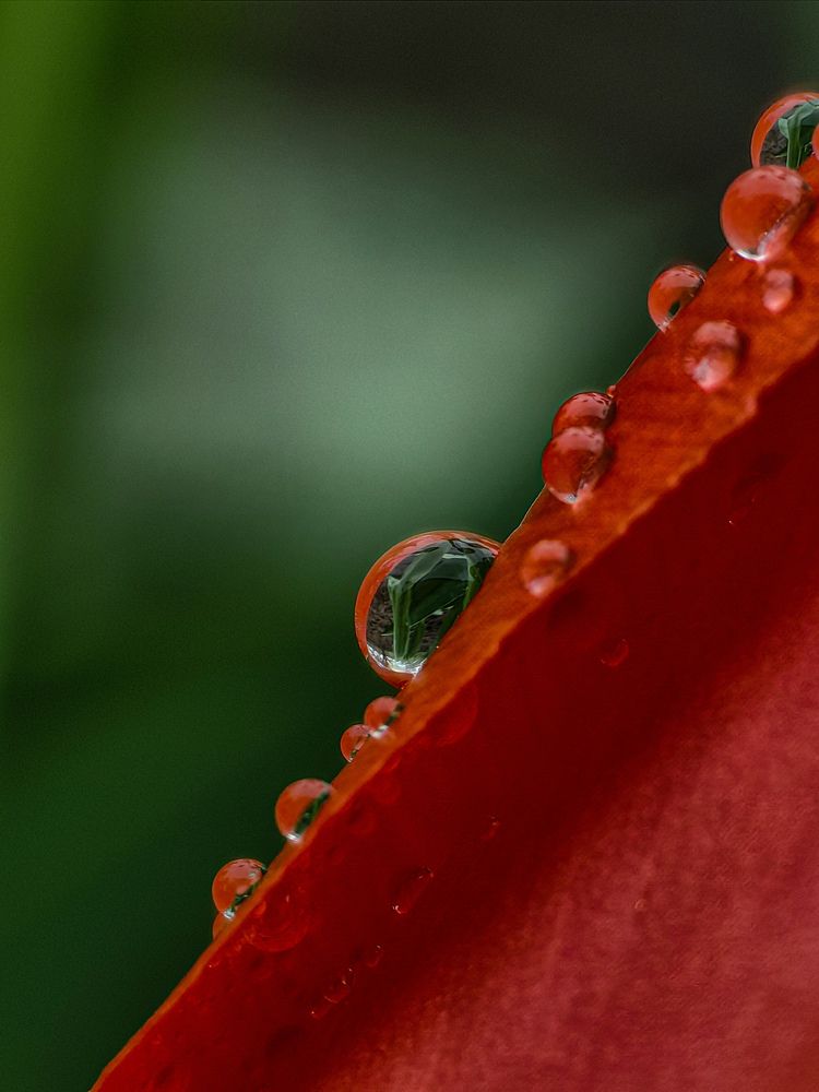 Фотография автора Ольга Панасюк