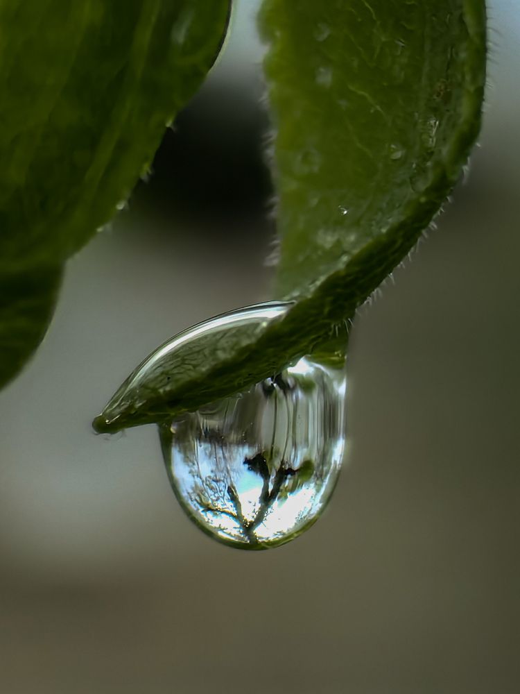 Фотография автора Ольга Панасюк