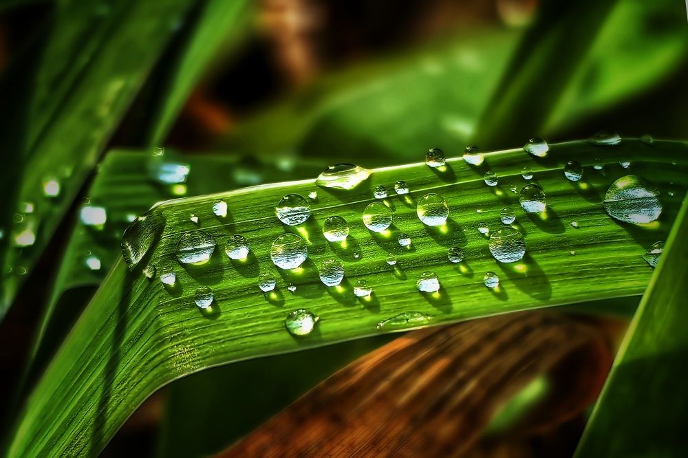 Photograph by Татьяна Бравая