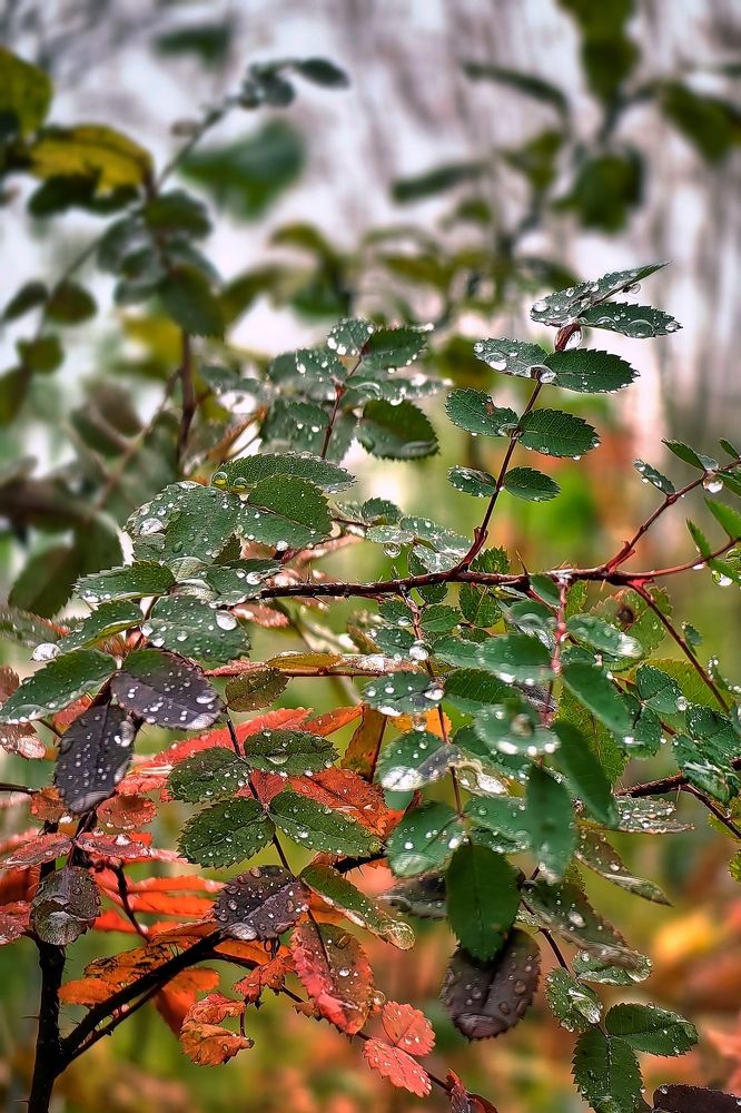 Photograph by Татьяна Бравая