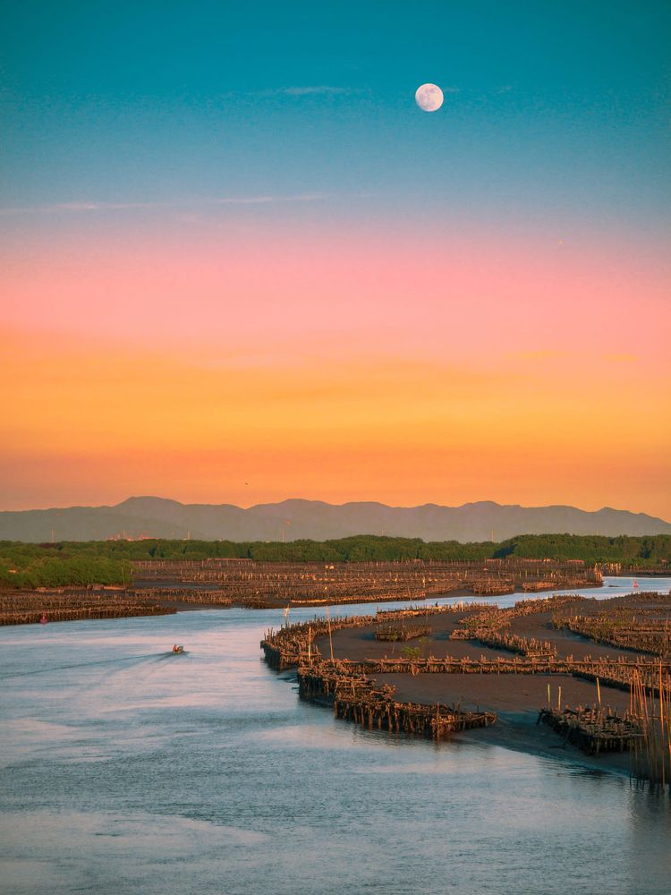 The Serenity of Twilight