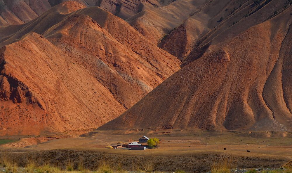 Photograph by PERESHEIN ANDREY