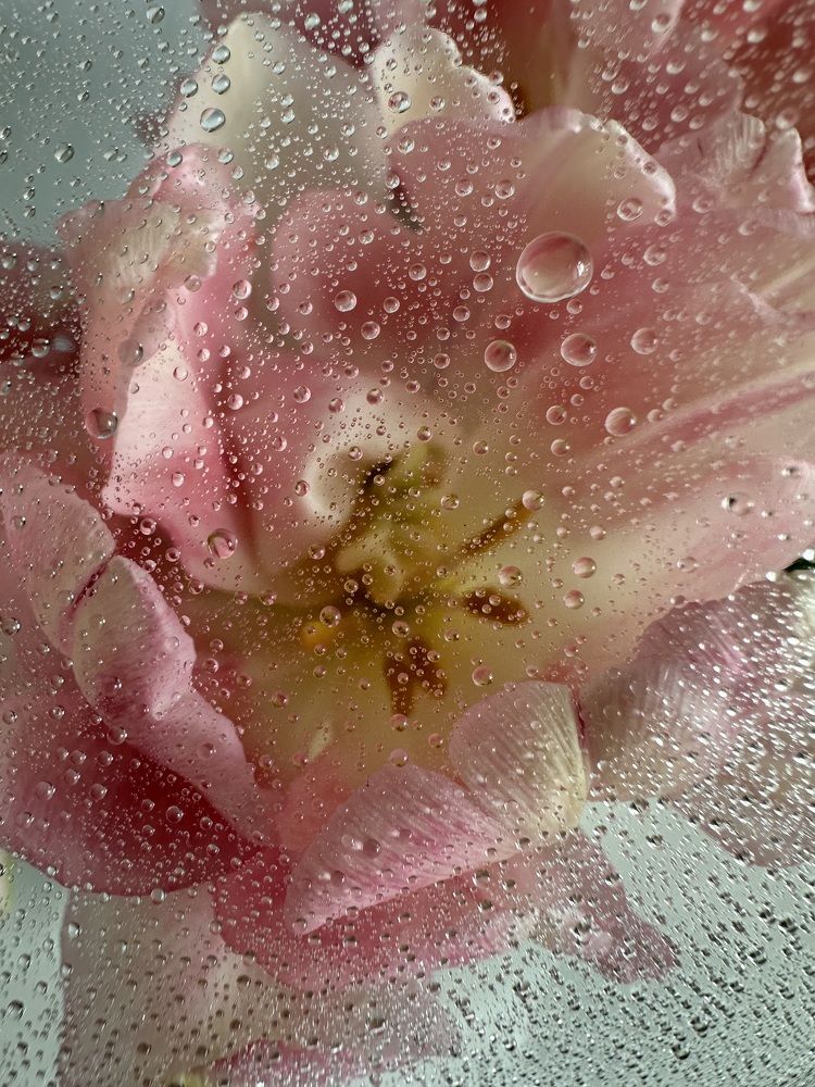 Photograph by Дина Чехова