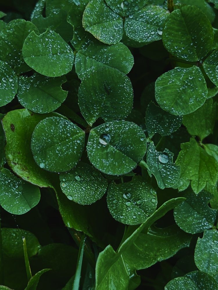 Photograph by Дина Чехова