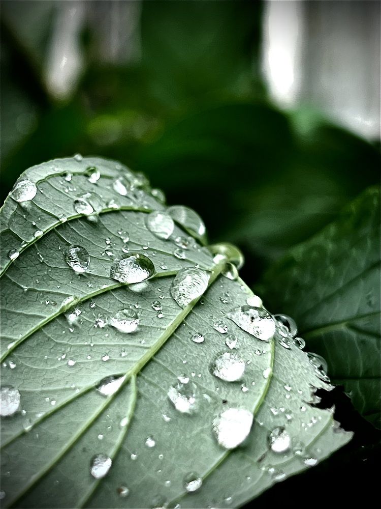 Photograph by Дина Чехова