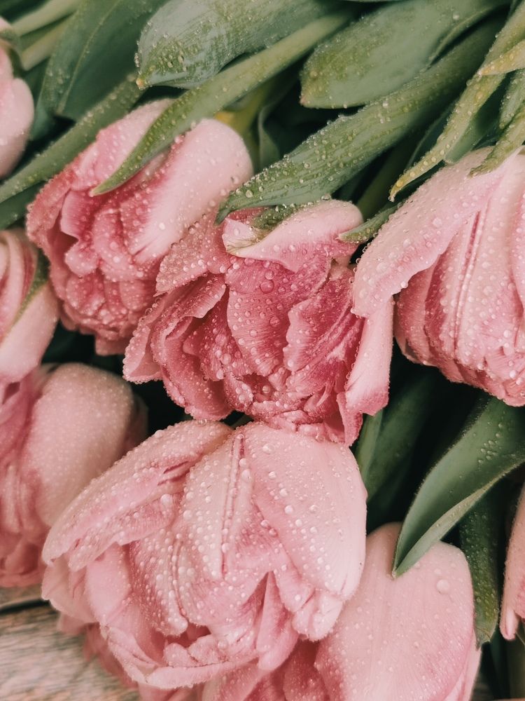 Photograph by Александра Шилова