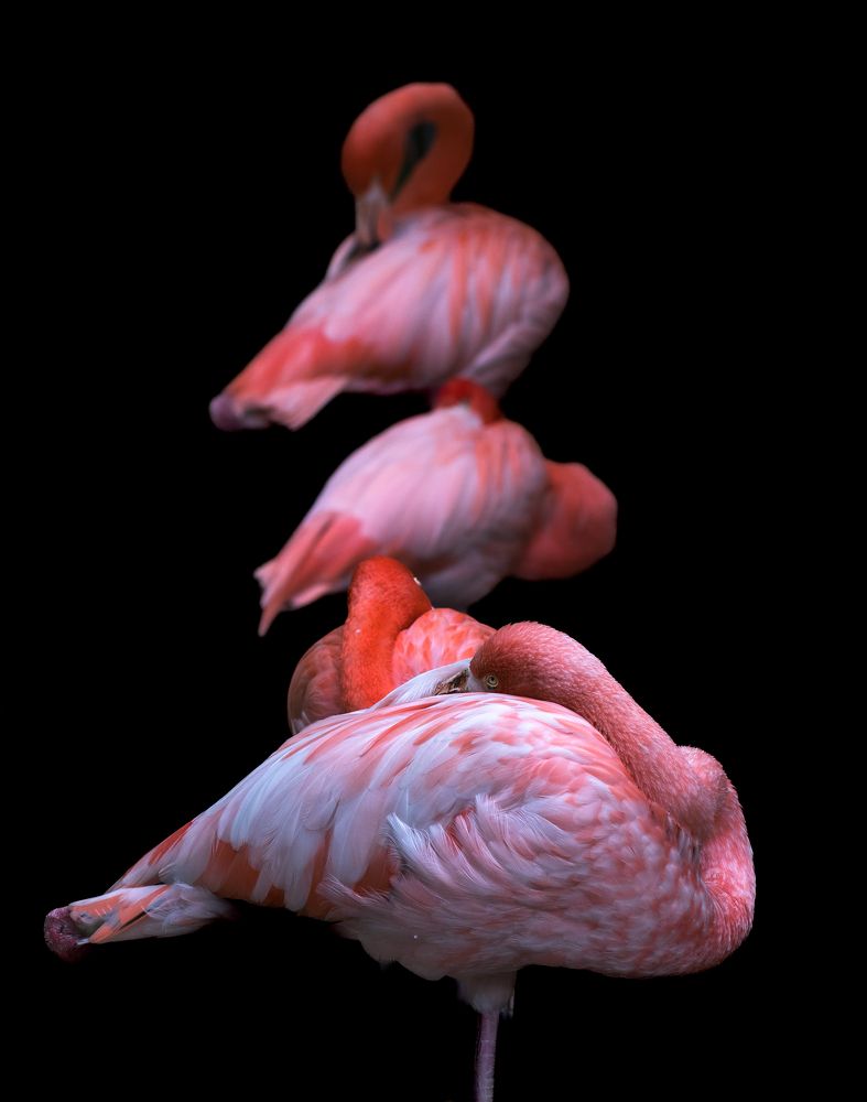 Photograph by Aída Torres