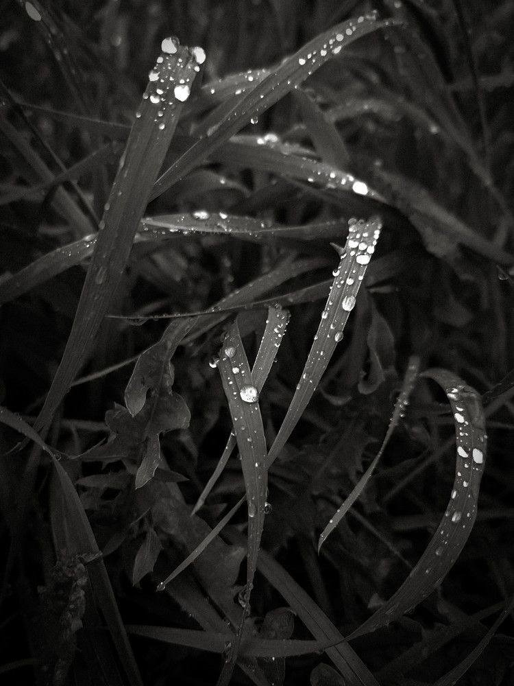 Photograph by Дарья Макаревич