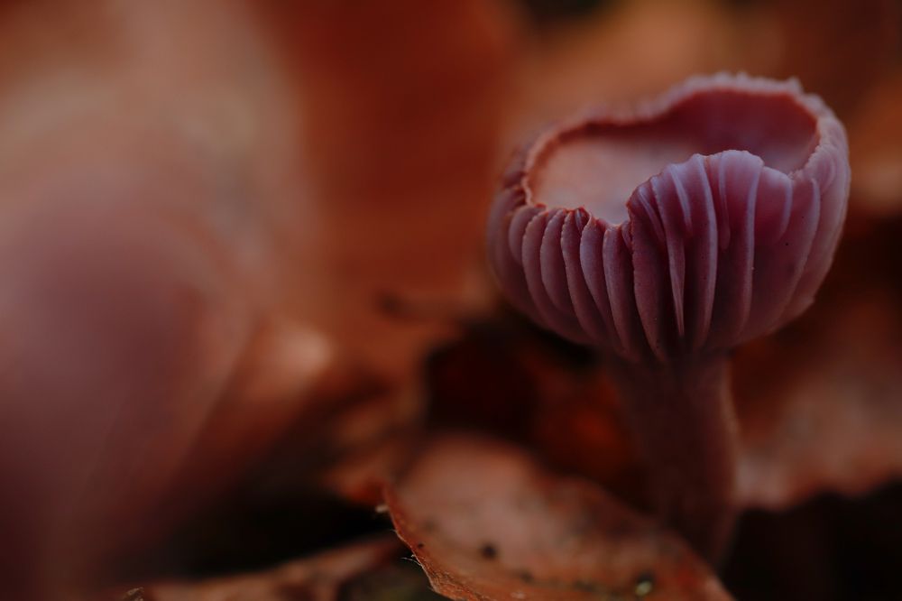 Photograph by Aída Torres