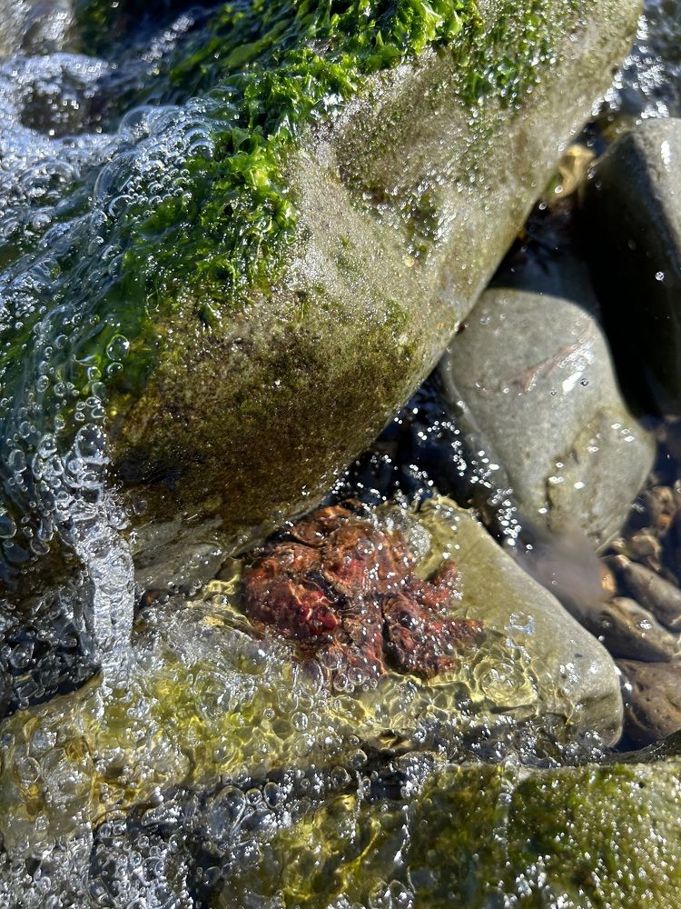 Photograph by Елена Власова