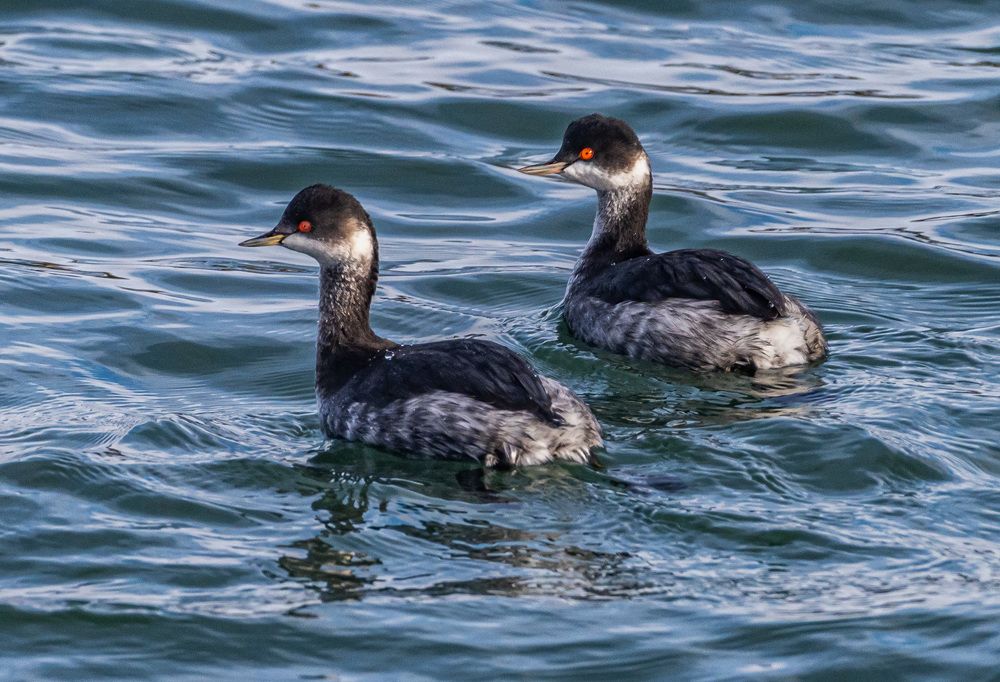 Photograph by Савчук Сергей