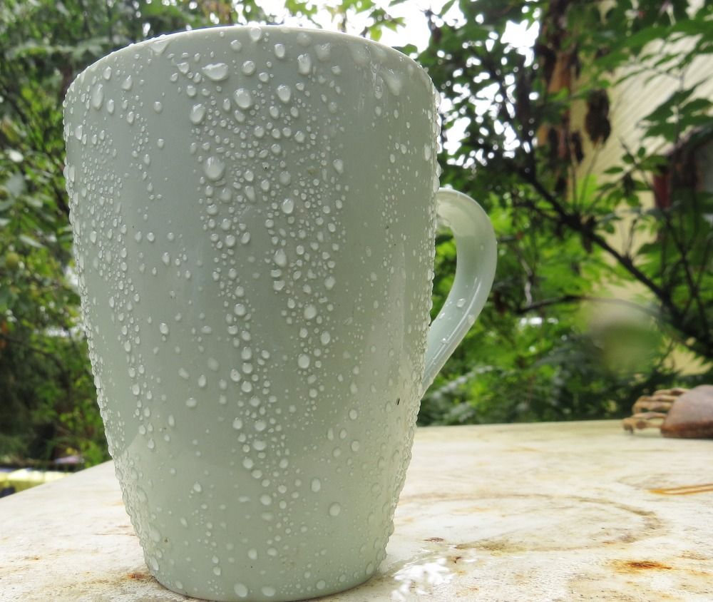 Photograph by Елена Казарина