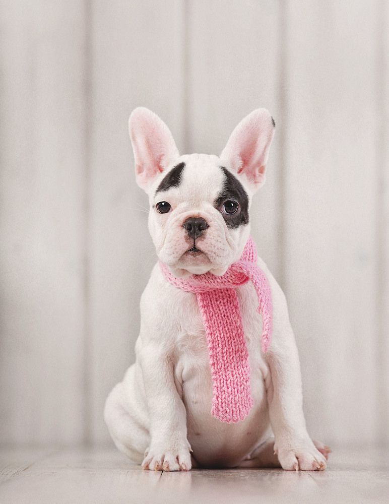 Photograph by Ольга Софронова