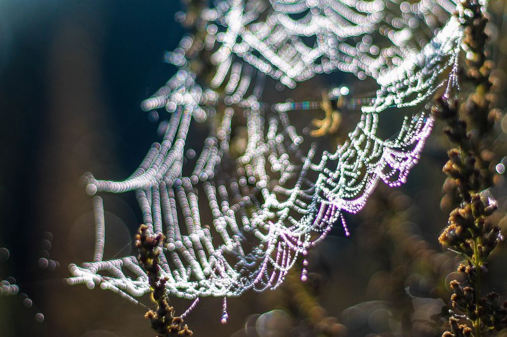 Photograph by Любовь Иванова