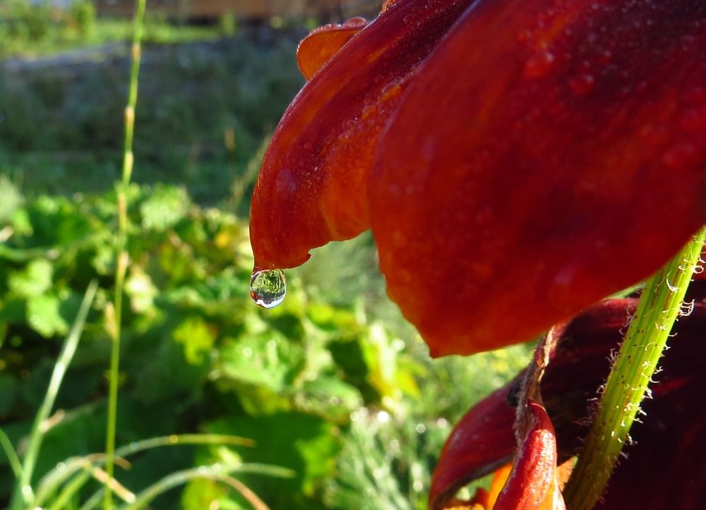 Photograph by Елена Казарина